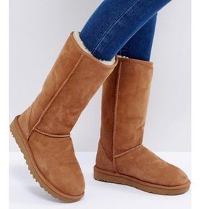Tall Chestnut UGGs